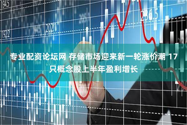 专业配资论坛网 存储市场迎来新一轮涨价潮 17只概念股上半年盈利增长