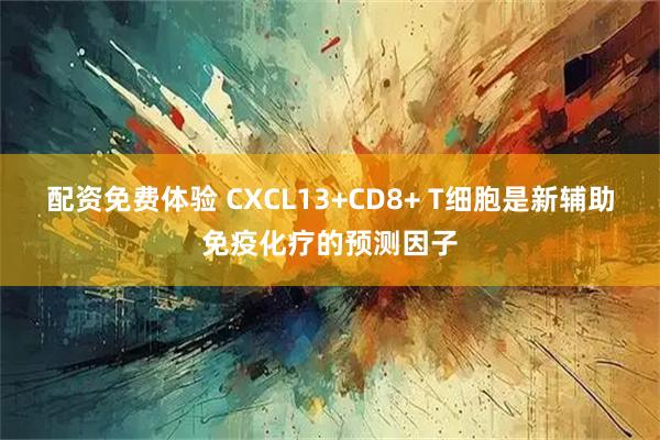 配资免费体验 CXCL13+CD8+ T细胞是新辅助免疫化疗的预测因子